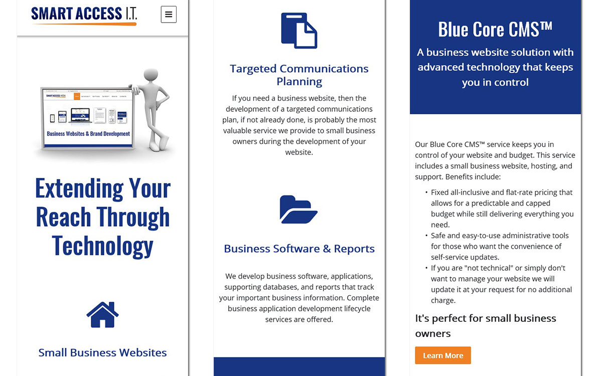 Smart Access IT Slide 3