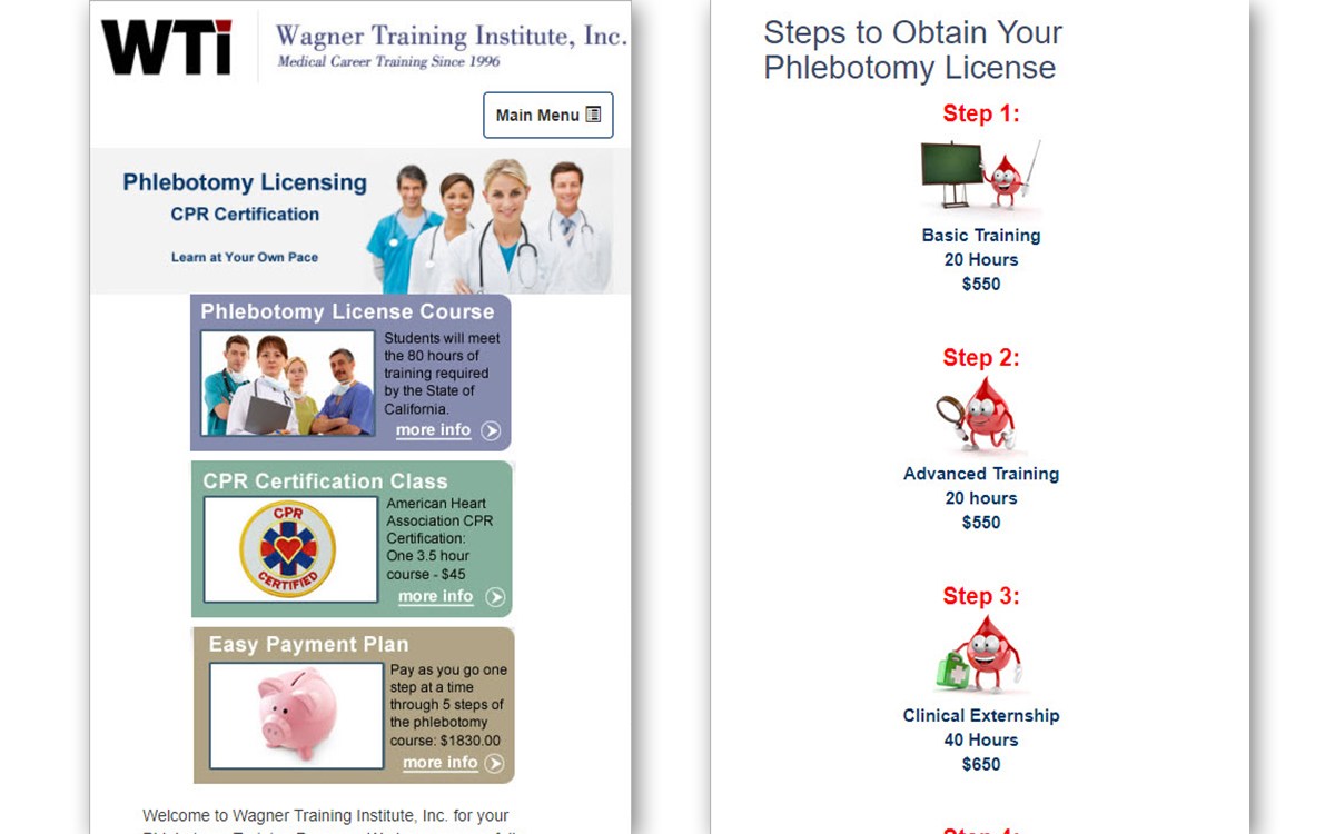 Wagner Training Institute Slide 3